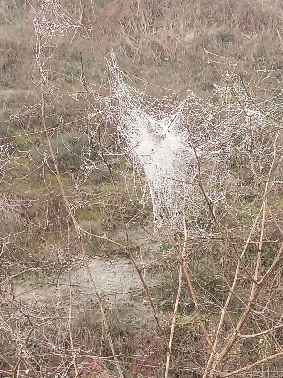 No s'ha trobat l'arxiu